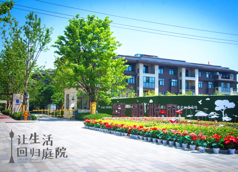 前后张望南阳50年：这样的天井，很难再有了！